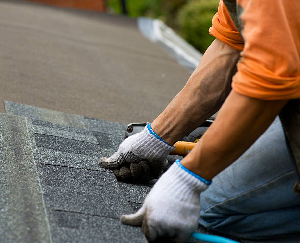 Best Metal Roofing Contractor  in Hokes Bluff, AL